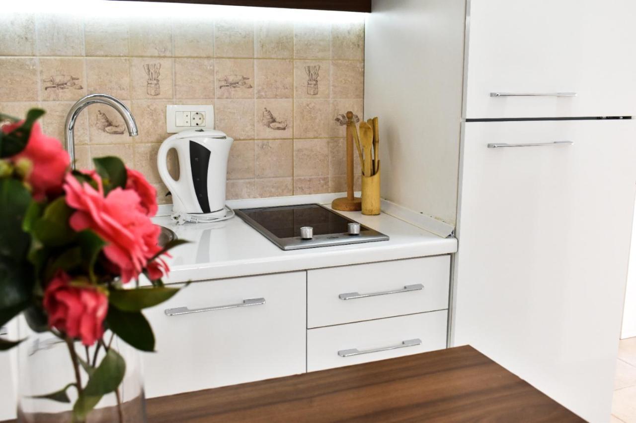 Paunovic Apartment *