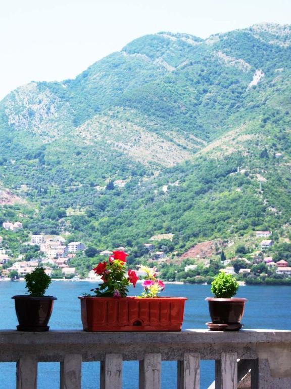 Paunovic Apartment Tivat