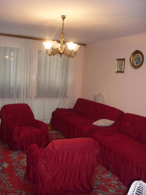 Apartment Paunovic Tivat