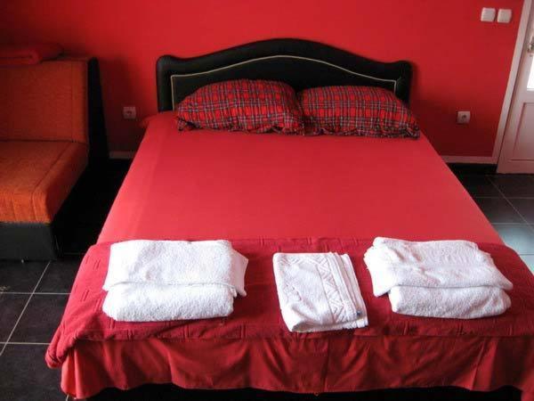 Apartment Paunovic *