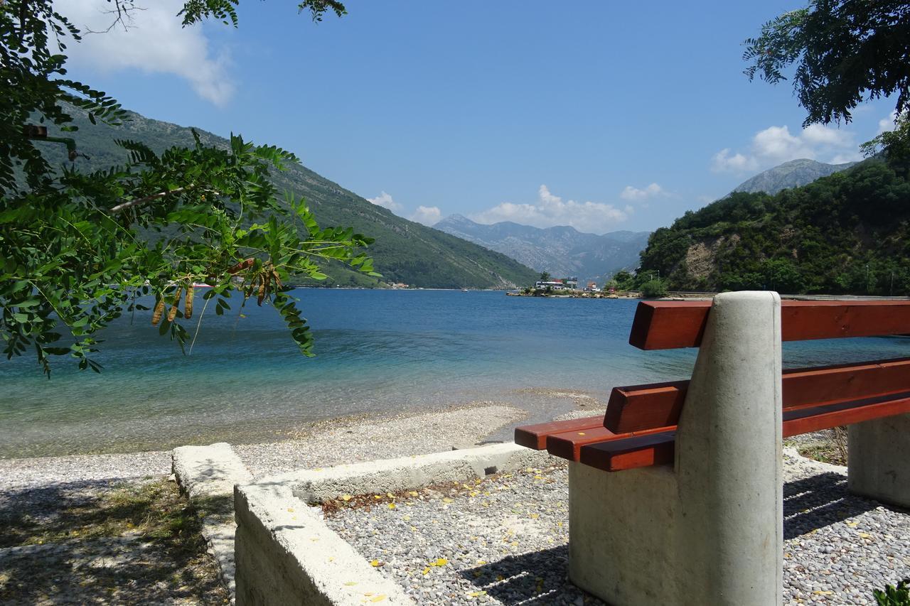 Paunovic Tivat