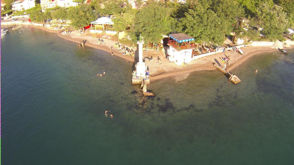 Paunovic * Tivat