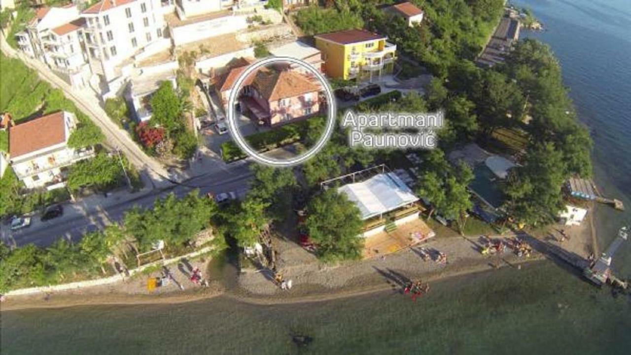 Apartment Paunovic *