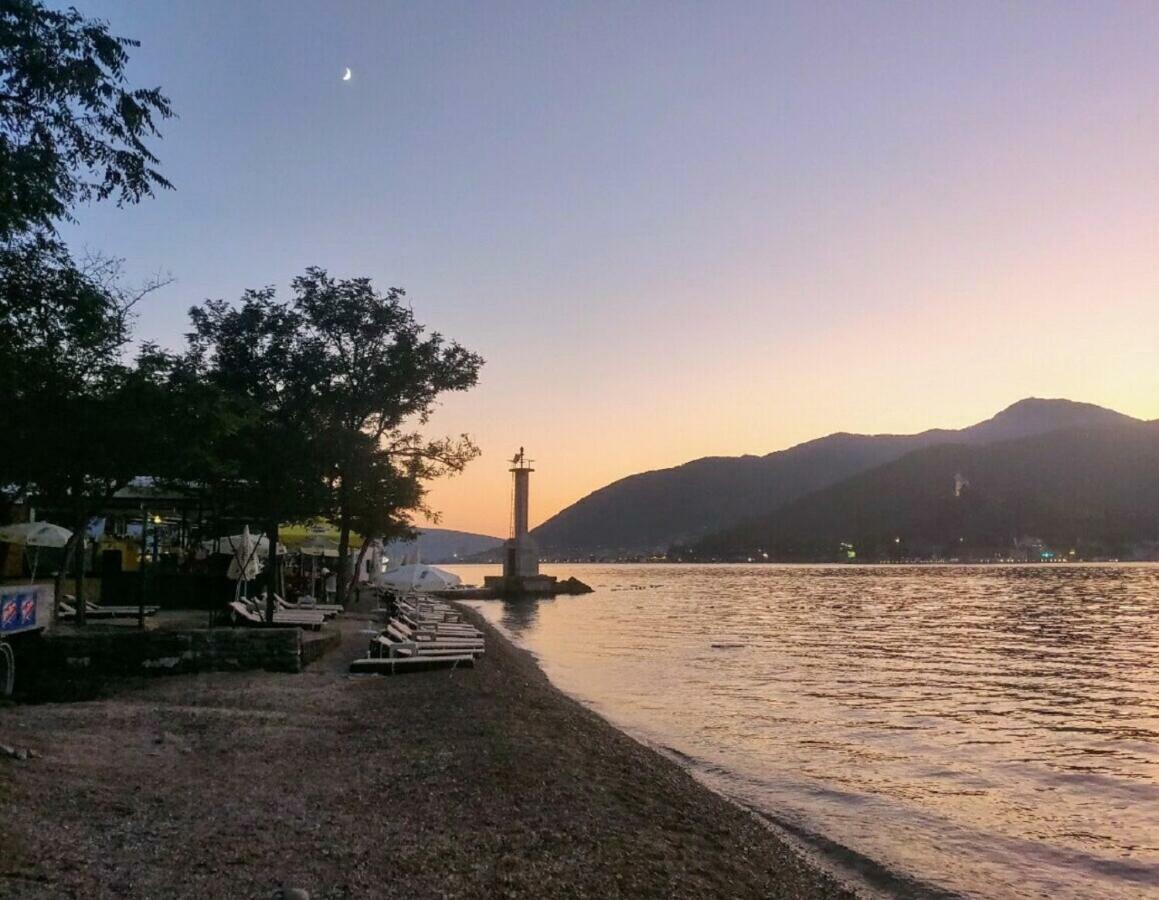 Paunovic * Tivat