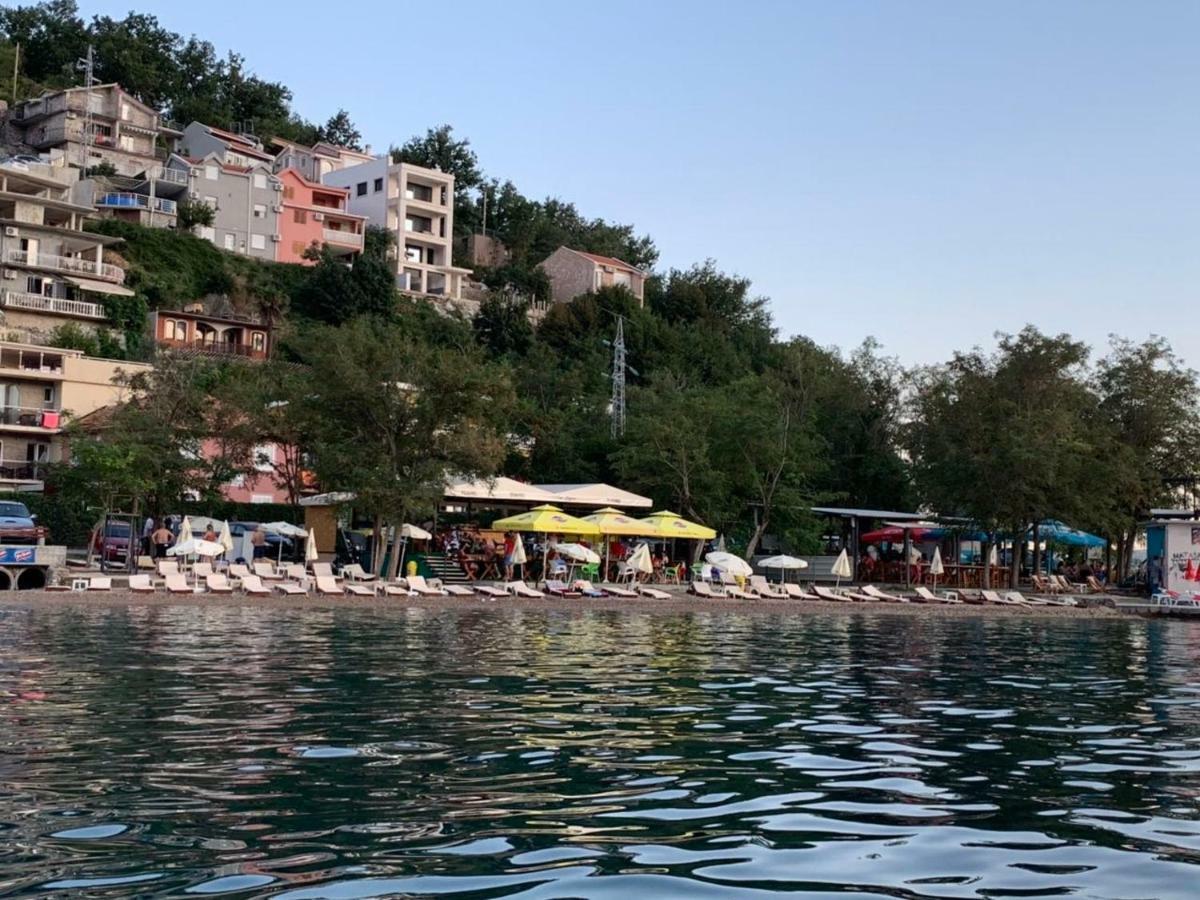 Paunovic * Tivat